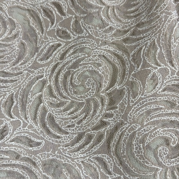 Gianni Bini Lace Dress Light Pink Blush Skater Dress Size 0 EUC - Picture 12 of 14